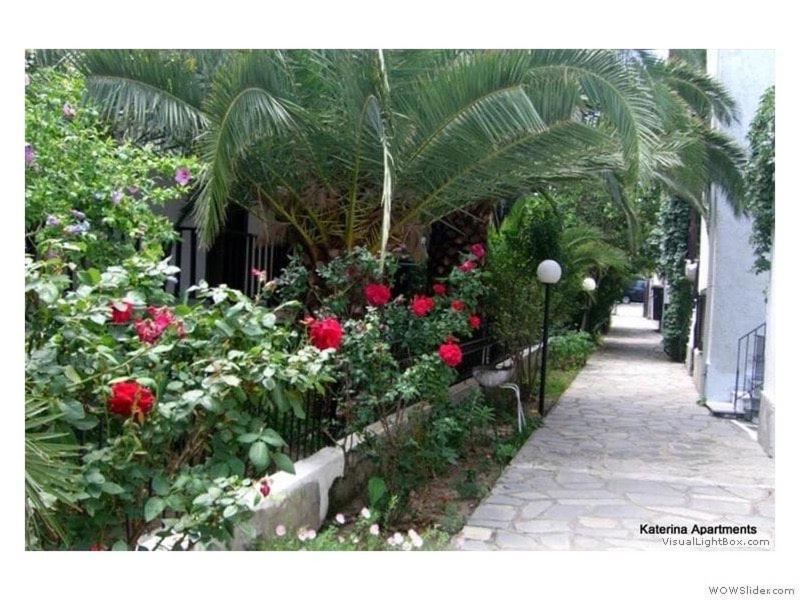Katerina Apartments Пефкохори Экстерьер фото